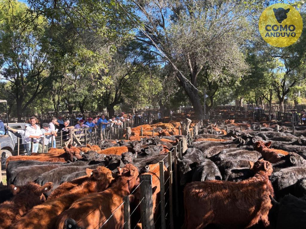 Hugo R. Arístegui y Cía